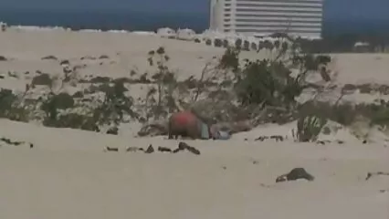 Fiduciosi uomini d'affari insieme scopano film hard in lingua italiana una puttana.