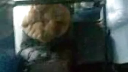 Un uomo scopa attivamente video hard in lingua italiana il culo di una troia legata.