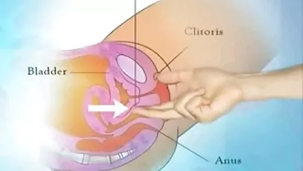 La ragazza impetuosa si video amatoriali italiani hard è data al signore pompato.