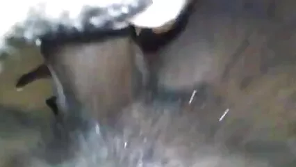 Al fratello non dispiace lucidare il culo video hard in lingua italiana stretto della sorellastra.